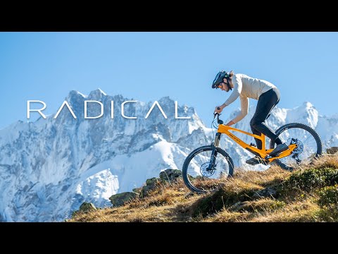 Bicicleta Sunn Radical